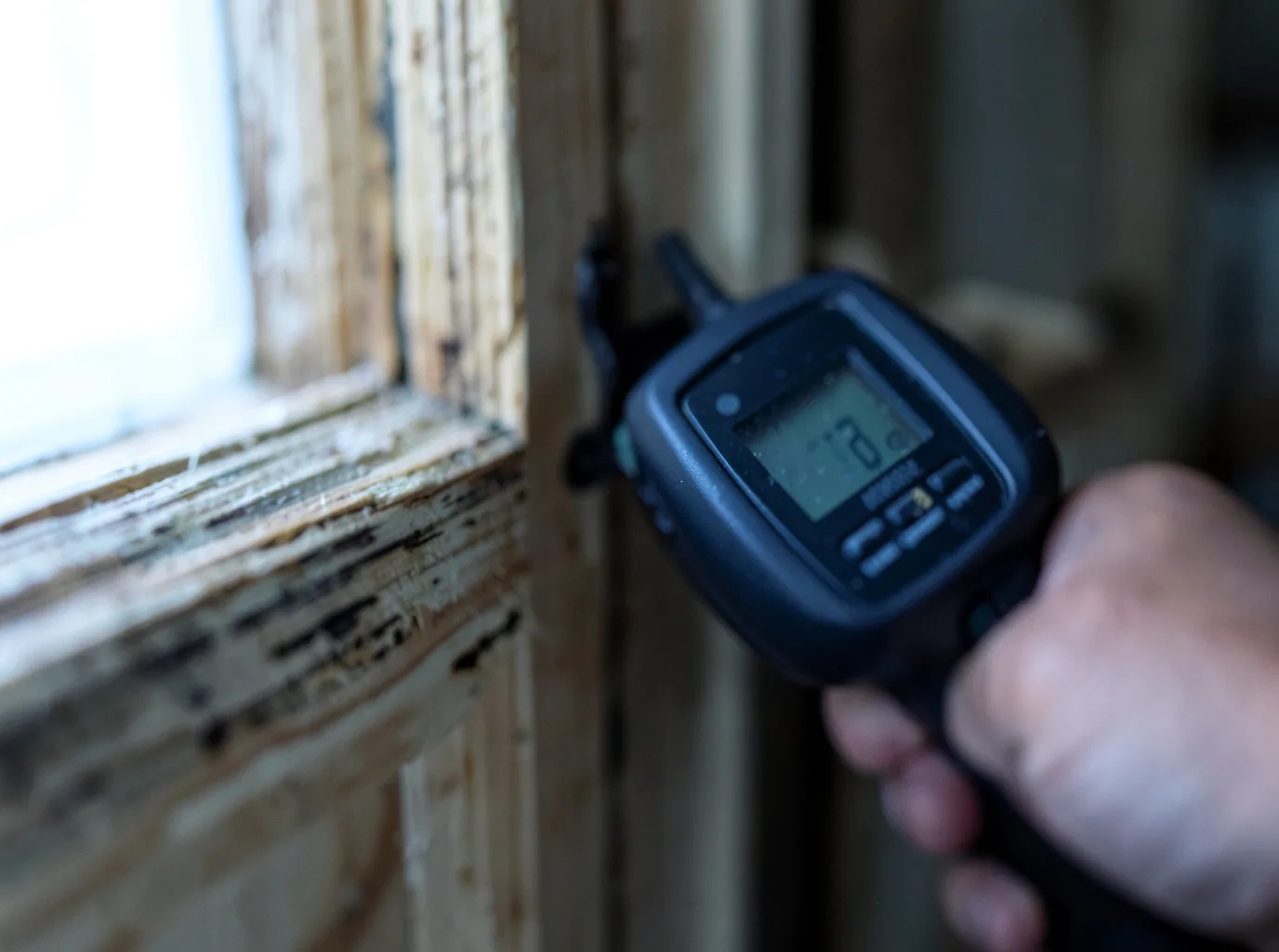 Moisture Inspection And Documentation in Scottsboro, AL